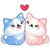 Gatitos💞18🇵🇪Clásica 27