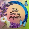 Todo tiene un propósito
