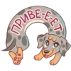Perro Rum Rum💞1🇵🇪Clásica 28