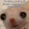 Mix Bib🧸֍2🇲🇽Clásica 26