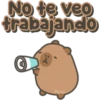 Capybara cute 🤎🐾 29