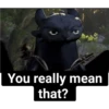 How to train your dragon #2 28