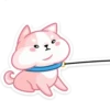 Gatitos💞18🇵🇪Clásica 28