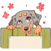 Perro Rum Rum💞1🇵🇪Clásica 29