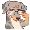 Perro Rum Rum💞1🇵🇪Clásica 30