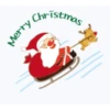MERRY CHRISTMAS SANTA 30