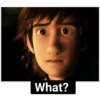 How to train your dragon #2 30