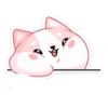 Gatitos💞18🇵🇪Clásica 30