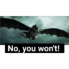 How To Train Your Dragon #1 7