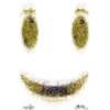 winning smiles 17