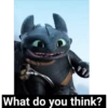 How To Train Your Dragon #3 24