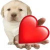 GYHUCTEVSZ_by_stikers_du_ark_bot 8