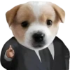 GYHUCTEVSZ_by_stikers_du_ark_bot 11