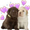 GYHUCTEVSZ_by_stikers_du_ark_bot 13