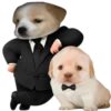 GYHUCTEVSZ_by_stikers_du_ark_bot 19