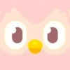 Duolingo 17