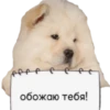 GYHUCTEVSZ_by_stikers_du_ark_bot 21
