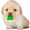GYHUCTEVSZ_by_stikers_du_ark_bot 22
