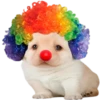 GYHUCTEVSZ_by_stikers_du_ark_bot 25