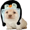 GYHUCTEVSZ_by_stikers_du_ark_bot 29