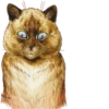 Louis Wain Cats 5