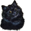 Louis Wain Cats 8