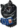 Louis Wain Cats 14