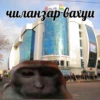 Vahui_au 11