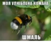 mpemi cymки 18+ @tretisutki 10