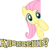 We Are Pony Mem (18+) @StickersIsMagic 10