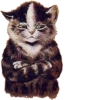 Louis Wain Cats 15