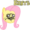 We Are Pony Mem (18+) @StickersIsMagic 11