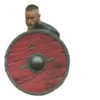 Vikings 13