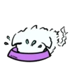 Wissp 7