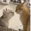 💕 Стики тYт: 16