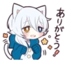 WHITE KITTEN 5 14