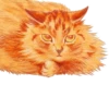 Louis Wain Cats 23