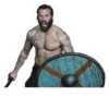 Vikings 21