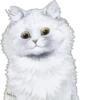 Louis Wain Cats 26