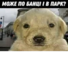mpemi cymки 18+ @tretisutki 25