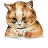 Louis Wain Cats 27
