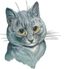 Louis Wain Cats 29