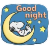 Snoopy sweet 💕cute🪷 12