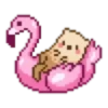 Pixeleados✴️💞1🇵🇪Clásica 15