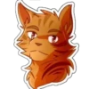 Коты воители или Warriors cats 11