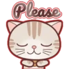 Brown cute 17