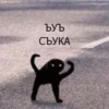 Стики 2190 из @Anonymnyi_chat_bot 18