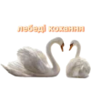 ТРЕНДИ UA @trendy_U 10
