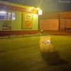 Я живY и пытаюсь YлыбатьсR 17