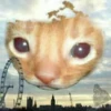Стики 2190 из @Anonymnyi_chat_bot 22